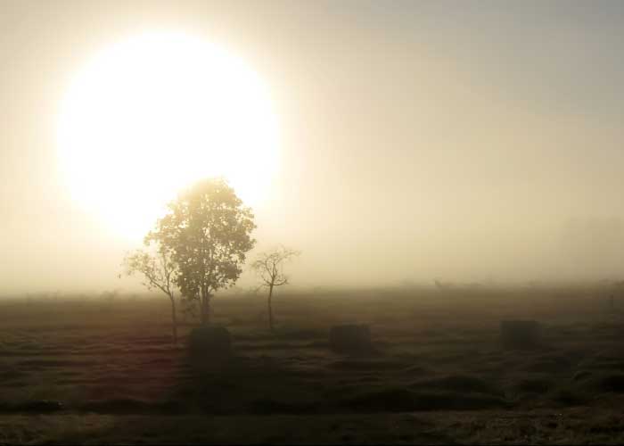 Sunrise over a misty field with silhouetted trees.