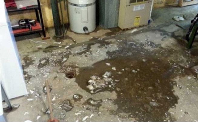basement drain backup and clog