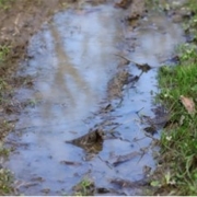 septic and sewer puddling