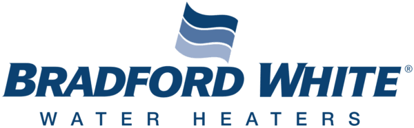 Ford logo with a blue and white design.