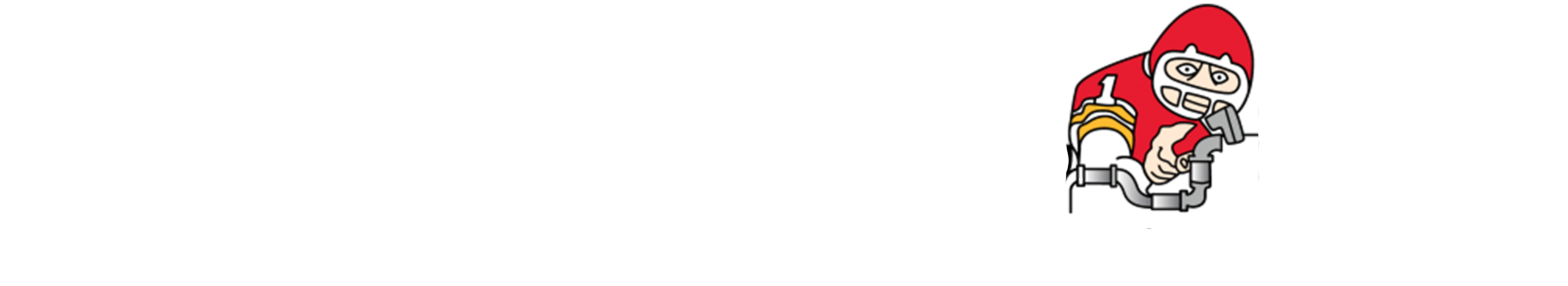 The white version of the Plumbing Pro logo for use on the footer of the page.