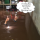 A man standing ankle-deep in water in a flooded basement, looking concerned as he assesses the damage. Boxes and furniture are partially submerged, highlighting the severity of the flooding.